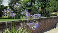 amerongen (16K)