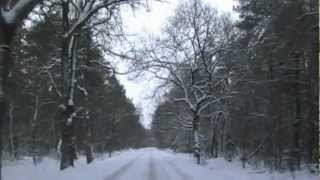 Autorit over besneeuwde bosweg