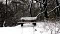 Winterwonderland Junne