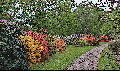poortBultenLente (49K)