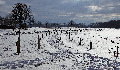 winter 2021 (48K)